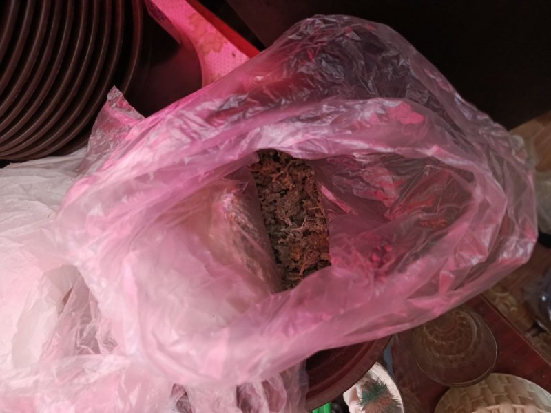 Житель Мордовии подозревается в покушении на сбыт наркотиков и культивировании конопли